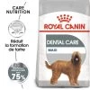 ROYAL CANIN CCN Maxi Dental Care 9kg 2 ROYAL CANIN CCN Maxi Dental Care 9kg -L'effet animalerie de la maison. fre pl ROYAL CANIN CCN Maxi Dental Care 9kg 10068 1