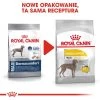 ROYAL CANIN CCN Maxi Dermacomfort 12kg Croquettes Pour Chiens Adultes, Grandes Races, à La Peau Sensible Et Sujette Aux Irritations. -L'effet animalerie de la maison. fre pl ROYAL CANIN CCN Maxi Dermacomfort 12kg croquettes pour chiens adultes grandes races a la peau sensible et sujette aux irritations 25933 2