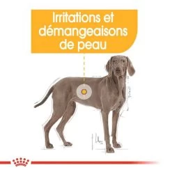ROYAL CANIN CCN Maxi Dermacomfort 3kg 13 ROYAL CANIN CCN Maxi Dermacomfort 3kg -L'effet animalerie de la maison. fre pl ROYAL CANIN CCN Maxi Dermacomfort 3kg 16272 7