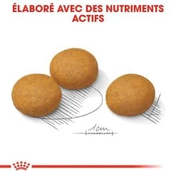 ROYAL CANIN CCN Maxi Dermacomfort 3kg 10 ROYAL CANIN CCN Maxi Dermacomfort 3kg -L'effet animalerie de la maison. fre pl ROYAL CANIN CCN Maxi Dermacomfort 3kg 16272 9
