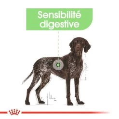 ROYAL CANIN CCN Maxi Digestive Care 3kg -L'effet animalerie de la maison. fre pl ROYAL CANIN CCN Maxi Digestive Care 3kg 10070 7
