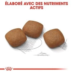 ROYAL CANIN CCN Maxi Joint Care 3kg + OVER ZOO Délicatesse 100g Gratuit -L'effet animalerie de la maison. fre pl ROYAL CANIN CCN Maxi Joint Care 3kg OVER ZOO Delicatesse 100g Gratuit 30800 6