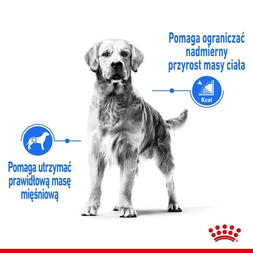 ROYAL CANIN CCN Maxi Light Weight Care 12kg 6 ROYAL CANIN CCN Maxi Light Weight Care 12kg – Image 4
