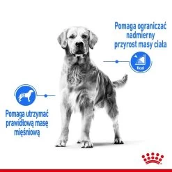ROYAL CANIN CCN Maxi Light Weight Care 2 X 12kg -L'effet animalerie de la maison. fre pl ROYAL CANIN CCN Maxi Light Weight Care 2 x 12kg 25890 4