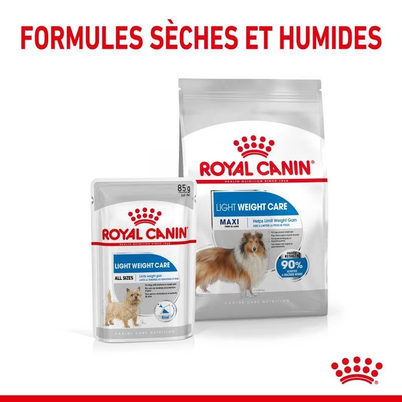 ROYAL CANIN CCN Maxi Light Weight Care 3kg 6 ROYAL CANIN CCN Maxi Light Weight Care 3kg – Image 4