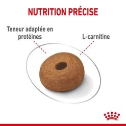 ROYAL CANIN CCN Maxi Light Weight Care 3kg 10 ROYAL CANIN CCN Maxi Light Weight Care 3kg -L'effet animalerie de la maison. fre pl ROYAL CANIN CCN Maxi Light Weight Care 3kg 10055 8