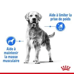 ROYAL CANIN CCN Maxi Light Weight Care 3kg 13 ROYAL CANIN CCN Maxi Light Weight Care 3kg -L'effet animalerie de la maison. fre pl ROYAL CANIN CCN Maxi Light Weight Care 3kg 10055 9