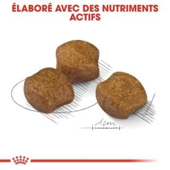 ROYAL CANIN CCN Medium Dental Care 10kg -L'effet animalerie de la maison. fre pl ROYAL CANIN CCN Medium Dental Care 10kg 10074 5