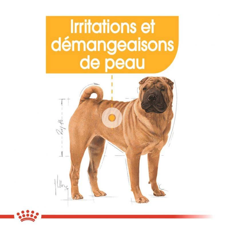 ROYAL CANIN CCN Medium Dermacomfort 3kg 5 ROYAL CANIN CCN Medium Dermacomfort 3kg – Image 3