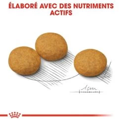 ROYAL CANIN CCN Medium Dermacomfort 3kg 11 ROYAL CANIN CCN Medium Dermacomfort 3kg -L'effet animalerie de la maison. fre pl ROYAL CANIN CCN Medium Dermacomfort 3kg 16276 4