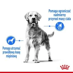 ROYAL CANIN CCN Medium Light Weight Care 12kg Nourriture Sèche Pour Chiens Adultes, Races Moyennes Sujettes à L'embonpoint 11 ROYAL CANIN CCN Medium Light Weight Care 12kg Nourriture Sèche Pour Chiens Adultes, Races Moyennes Sujettes à L'embonpoint -L'effet animalerie de la maison. fre pl ROYAL CANIN CCN Medium Light Weight Care 12kg nourriture seche pour chiens adultes races moyennes sujettes a lembonpoint 26050 4