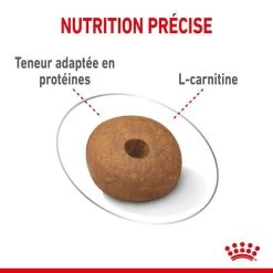 ROYAL CANIN CCN Medium Light Weight Care 3kg -L'effet animalerie de la maison. fre pl ROYAL CANIN CCN Medium Light Weight Care 3kg 10066 4