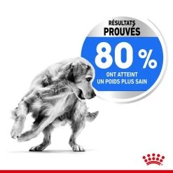 ROYAL CANIN CCN Medium Light Weight Care 3kg -L'effet animalerie de la maison. fre pl ROYAL CANIN CCN Medium Light Weight Care 3kg 10066 5
