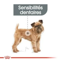 ROYAL CANIN CCN Mini Dental Care 3kg 10 ROYAL CANIN CCN Mini Dental Care 3kg -L'effet animalerie de la maison. fre pl ROYAL CANIN CCN Mini Dental Care 3kg 16284 8