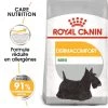 ROYAL CANIN CCN Mini Dermacomfort 3kg + OVER ZOO Délicatesse 100g GRATUIT 1 ROYAL CANIN CCN Mini Dermacomfort 3kg + OVER ZOO Délicatesse 100g GRATUIT -L'effet animalerie de la maison. fre pl ROYAL CANIN CCN Mini Dermacomfort 3kg OVER ZOO Delicatesse 100g GRATUIT 30806 1