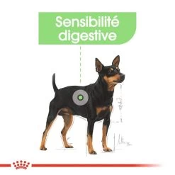 ROYAL CANIN CCN Mini Digestive Care 3kg -L'effet animalerie de la maison. fre pl ROYAL CANIN CCN Mini Digestive Care 3kg 16288 7