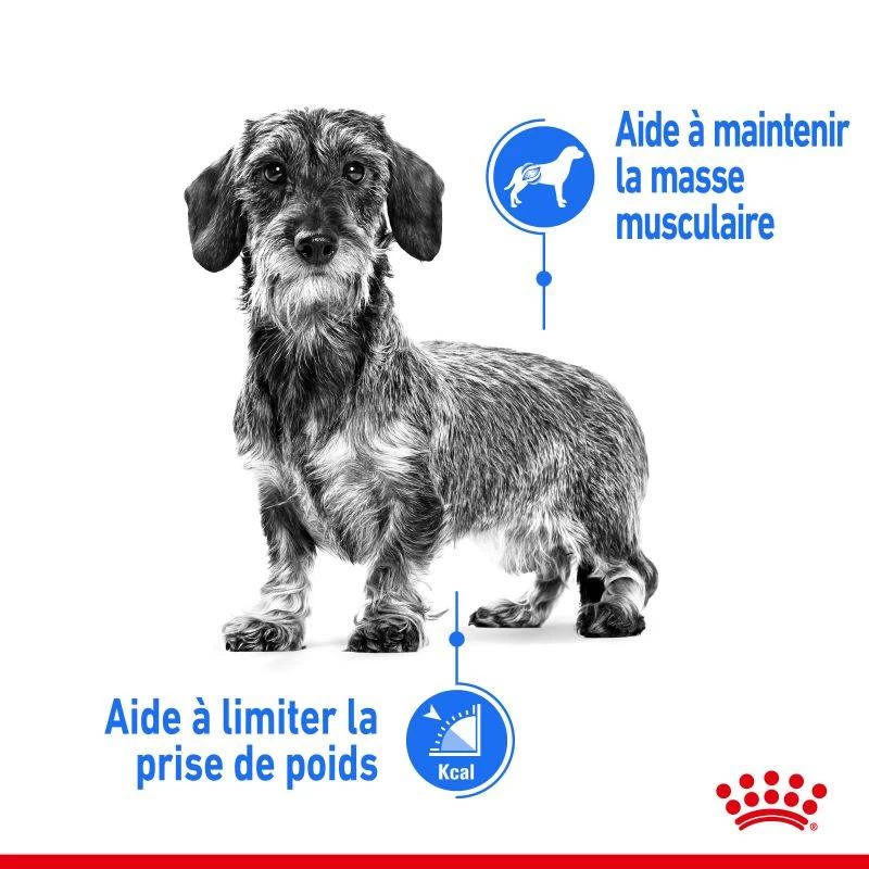 ROYAL CANIN CCN Mini Light Weight Care 3kg + ORIJEN Original Chien 340g Gratuit 4 ROYAL CANIN CCN Mini Light Weight Care 3kg + ORIJEN Original Chien 340g Gratuit – Image 2