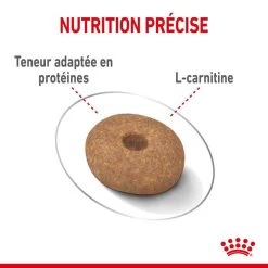 ROYAL CANIN CCN Mini Light Weight Care 3kg + ORIJEN Original Chien 340g Gratuit 13 ROYAL CANIN CCN Mini Light Weight Care 3kg + ORIJEN Original Chien 340g Gratuit -L'effet animalerie de la maison. fre pl ROYAL CANIN CCN Mini Light Weight Care 3kg ORIJEN Original Chien 340g Gratuit 30802 6