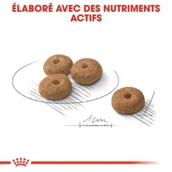 ROYAL CANIN CCN Mini Sterilised 3kg 13 ROYAL CANIN CCN Mini Sterilised 3kg -L'effet animalerie de la maison. fre pl ROYAL CANIN CCN Mini Sterilised 3kg 16293 6