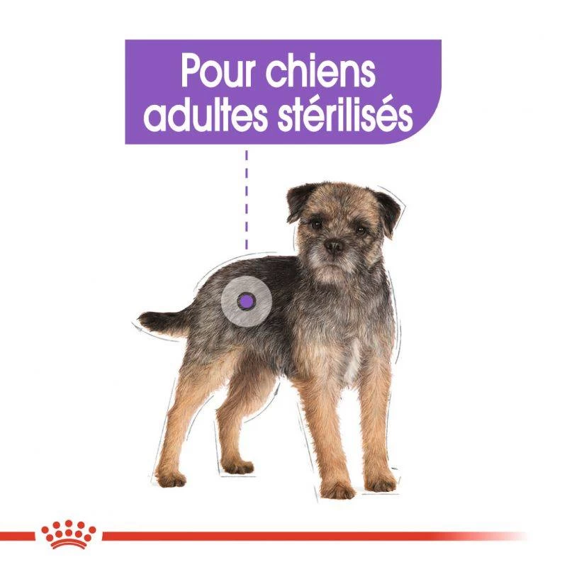 ROYAL CANIN CCN Mini Sterilised 3kg 6 ROYAL CANIN CCN Mini Sterilised 3kg – Image 4