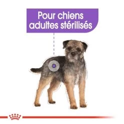 ROYAL CANIN CCN Sterilised Mini Pâté 12x85g 12 ROYAL CANIN CCN Sterilised Mini Pâté 12x85g -L'effet animalerie de la maison. fre pl ROYAL CANIN CCN Sterilised Mini Pate 12x85g 10088 5