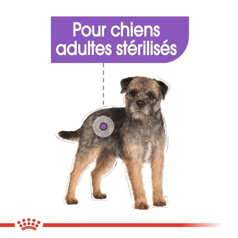 ROYAL CANIN CCN Sterilised Mini Pâté 12x85g 7 ROYAL CANIN CCN Sterilised Mini Pâté 12x85g – Image 5