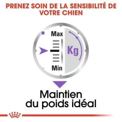 ROYAL CANIN CCN Sterilised Mini Pâté 12x85g 13 ROYAL CANIN CCN Sterilised Mini Pâté 12x85g -L'effet animalerie de la maison. fre pl ROYAL CANIN CCN Sterilised Mini Pate 12x85g 10088 6