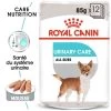 ROYAL CANIN CCN Urinary Care Pâté 12x85g -L'effet animalerie de la maison. fre pl ROYAL CANIN CCN Urinary Care pate 12x85g 10087 1