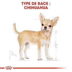 ROYAL CANIN Chihuahua Adult 500g X2 12 ROYAL CANIN Chihuahua Adult 500g X2 -L'effet animalerie de la maison. fre pl ROYAL CANIN Chihuahua Adult 500g x2 30761 3