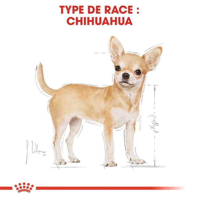 ROYAL CANIN Chihuahua Adult 500g X2 7 ROYAL CANIN Chihuahua Adult 500g X2 – Image 5