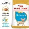 ROYAL CANIN Chihuahua Puppy 1,5kg -L'effet animalerie de la maison. fre pl ROYAL CANIN Chihuahua Puppy 1 5kg 15969 1
