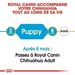 ROYAL CANIN Chihuahua Puppy 1,5kg 12 ROYAL CANIN Chihuahua Puppy 1,5kg -L'effet animalerie de la maison. fre pl ROYAL CANIN Chihuahua Puppy 1 5kg 15969 3