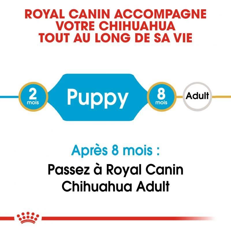 ROYAL CANIN Chihuahua Puppy 1,5kg 7 ROYAL CANIN Chihuahua Puppy 1,5kg – Image 5