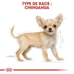 ROYAL CANIN Chihuahua Puppy 1,5kg 13 ROYAL CANIN Chihuahua Puppy 1,5kg -L'effet animalerie de la maison. fre pl ROYAL CANIN Chihuahua Puppy 1 5kg 15969 5