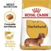 ROYAL CANIN Dachshund Adult 1,5kg 1 ROYAL CANIN Dachshund Adult 1,5kg -L'effet animalerie de la maison. fre pl ROYAL CANIN Dachshund Adult 1 5kg 15974 1