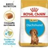 ROYAL CANIN Dachshund Puppy 1,5kg -L'effet animalerie de la maison. fre pl ROYAL CANIN Dachshund Puppy 1 5kg 15331 1