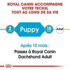 ROYAL CANIN Dachshund Puppy 1,5kg -L'effet animalerie de la maison. fre pl ROYAL CANIN Dachshund Puppy 1 5kg 15331 2