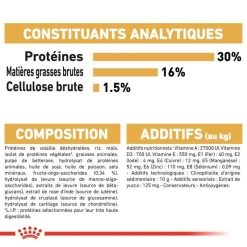 ROYAL CANIN Dachshund Puppy 1,5kg -L'effet animalerie de la maison. fre pl ROYAL CANIN Dachshund Puppy 1 5kg 15331 4