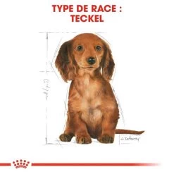 ROYAL CANIN Dachshund Puppy 1,5kg -L'effet animalerie de la maison. fre pl ROYAL CANIN Dachshund Puppy 1 5kg 15331 7