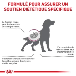 ROYAL CANIN Early Renal 2kg -L'effet animalerie de la maison. fre pl ROYAL CANIN Early Renal 2kg 12975 7