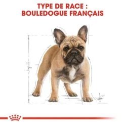 ROYAL CANIN French Bulldog Adult 1,5kg 10 ROYAL CANIN French Bulldog Adult 1,5kg -L'effet animalerie de la maison. fre pl ROYAL CANIN French Bulldog Adult 1 5kg 16936 2