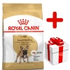 ROYAL CANIN French Bulldog Adult 9kg + Surprise Pour Votre Chien GRATUITES ! 1 ROYAL CANIN French Bulldog Adult 9kg + Surprise Pour Votre Chien GRATUITES ! -L'effet animalerie de la maison. fre pl ROYAL CANIN French Bulldog Adult 9kg surprise pour votre chien GRATUITES 17879 1