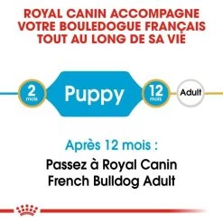 ROYAL CANIN French Bulldog Puppy 10kg -L'effet animalerie de la maison. fre pl ROYAL CANIN French Bulldog Puppy 10kg 15978 3