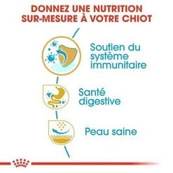 ROYAL CANIN French Bulldog Puppy 10kg -L'effet animalerie de la maison. fre pl ROYAL CANIN French Bulldog Puppy 10kg 15978 5