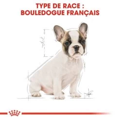 ROYAL CANIN French Bulldog Puppy 3kg -L'effet animalerie de la maison. fre pl ROYAL CANIN French Bulldog Puppy 3kg 15997 6