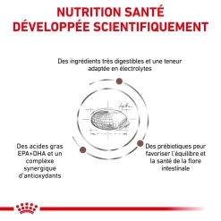 ROYAL CANIN Gastrointestinal Dog 7,5kg -L'effet animalerie de la maison. fre pl ROYAL CANIN Gastrointestinal Dog 7 5kg 15999 1