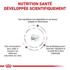 ROYAL CANIN Gastrointestinal Puppy 2,5kg -L'effet animalerie de la maison. fre pl ROYAL CANIN Gastrointestinal Puppy 2 5kg 16002 7