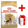 ROYAL CANIN German Shepherd Adult 11kg + Surprise Pour Votre Chien GRATUITES ! -L'effet animalerie de la maison. fre pl ROYAL CANIN German Shepherd Adult 11kg surprise pour votre chien GRATUITES 17883 1