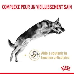 ROYAL CANIN German Shepherd Adult 5+ 12kg -L'effet animalerie de la maison. fre pl ROYAL CANIN German Shepherd Adult 5 12kg 12523 3