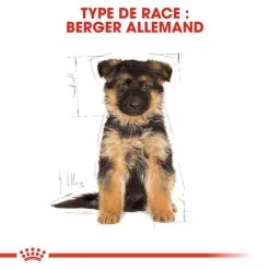 ROYAL CANIN German Shepherd Puppy 3kg -L'effet animalerie de la maison. fre pl ROYAL CANIN German Shepherd Puppy 3kg 16007 4